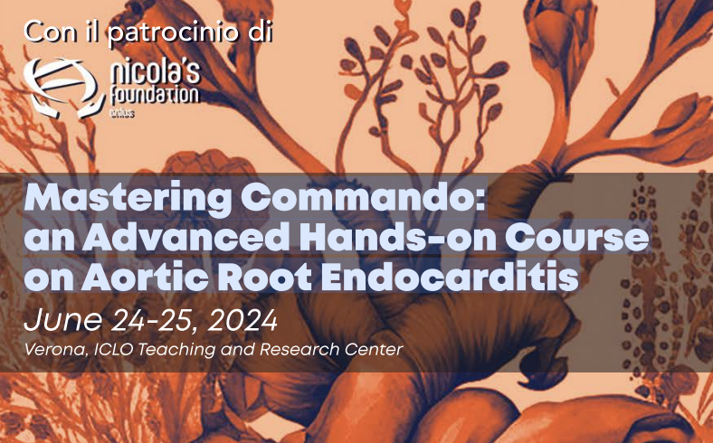 Advanced Hands-on Course on Aortic Root Endocarditis