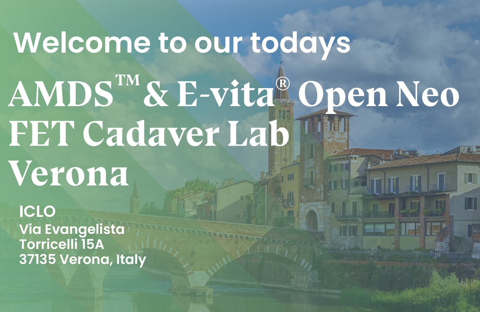 AMDS & E-vita® Open Neo – FET Cadaver Lab
